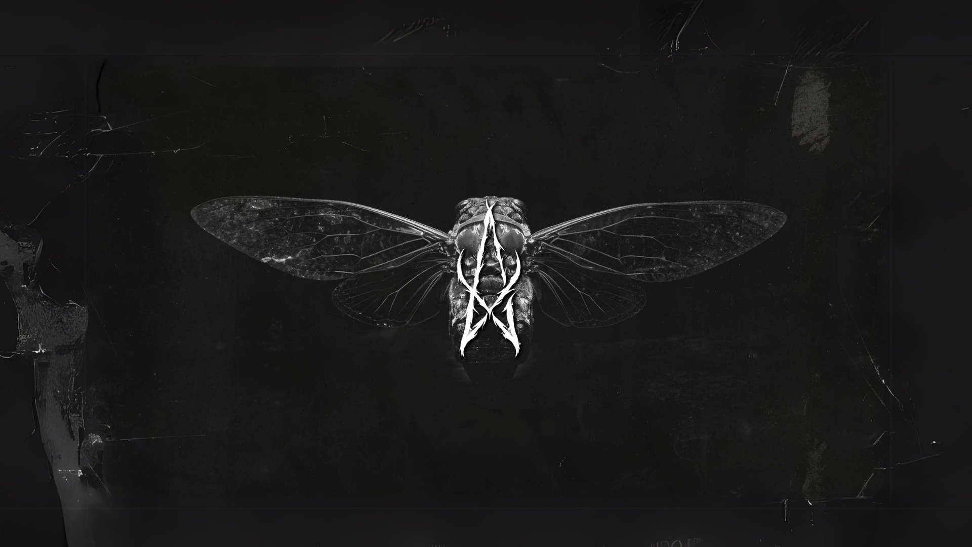 Aerotapok Offline Background