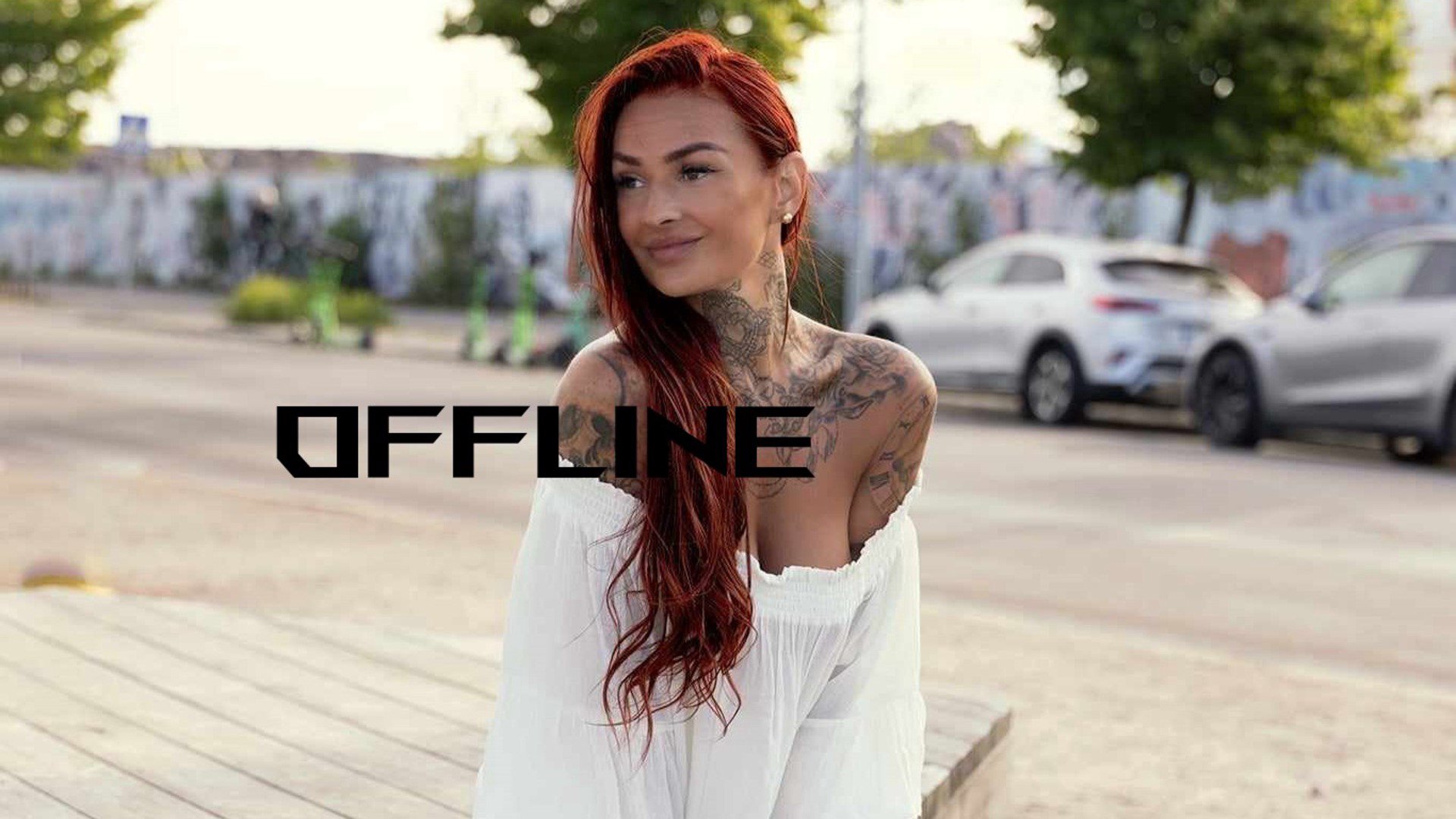 LaineBruce Offline Background