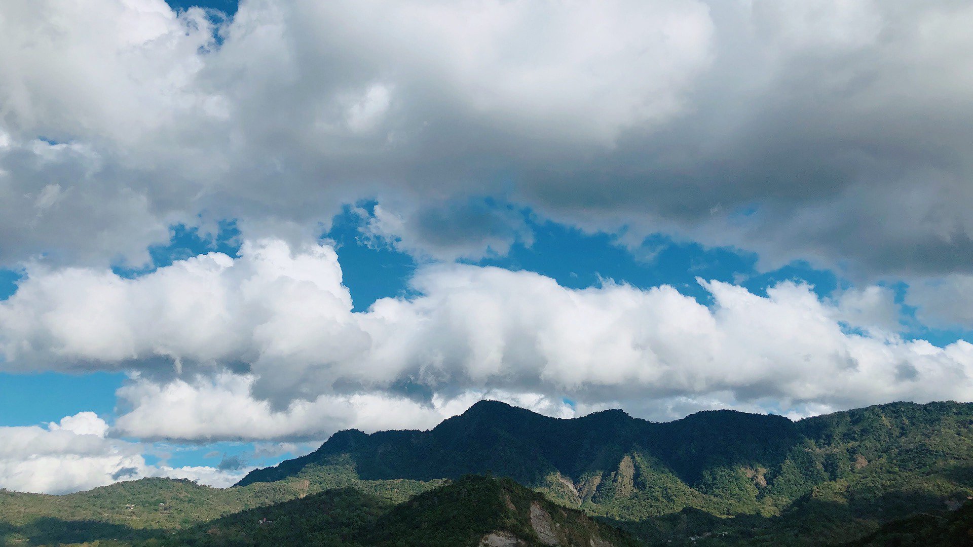 瑤瑤凝 Offline Background