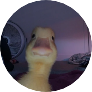 Fluxiurr