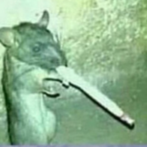 Daddy_Frogg