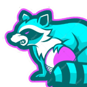 mapache_51