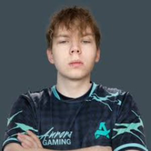 vanechkin23