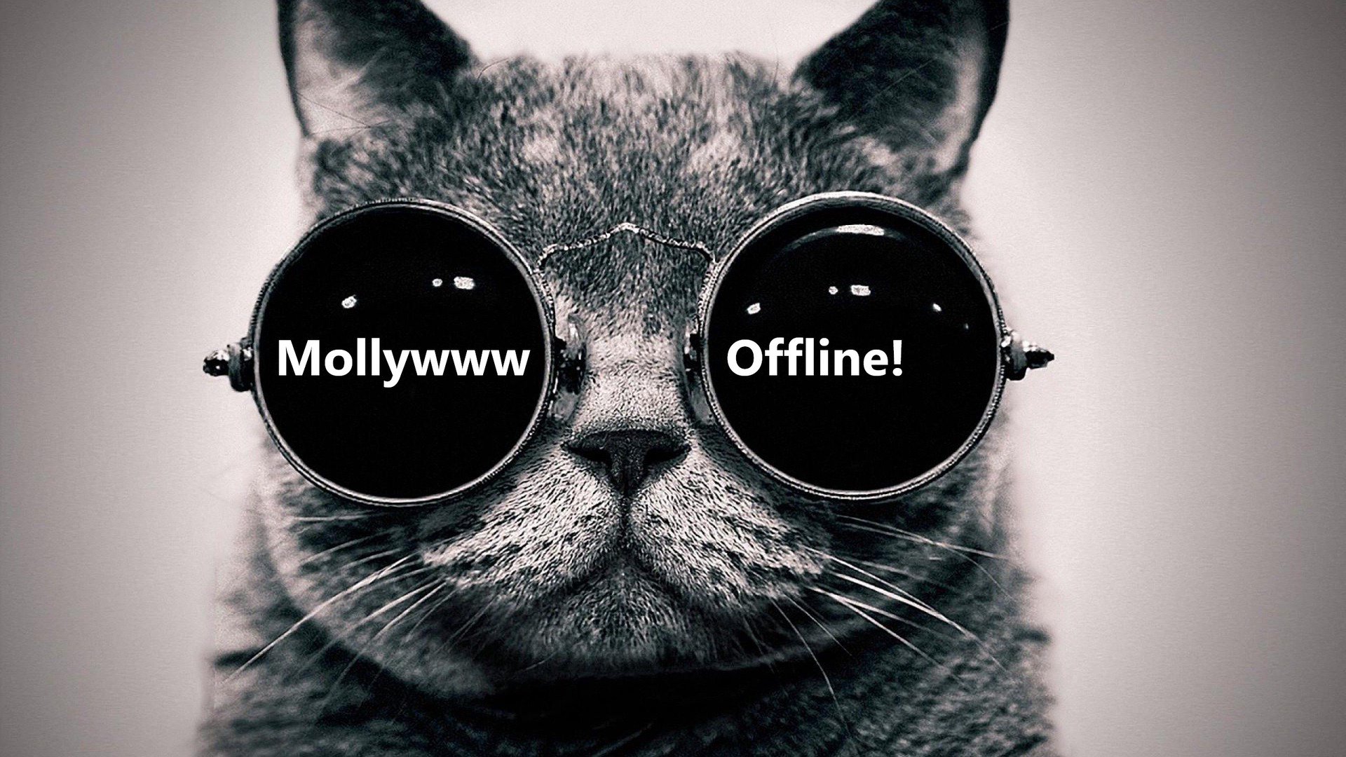 莫莉_ Offline Background