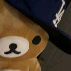 mongit0