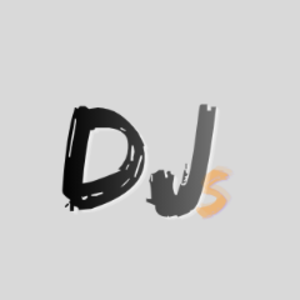 DJs2813