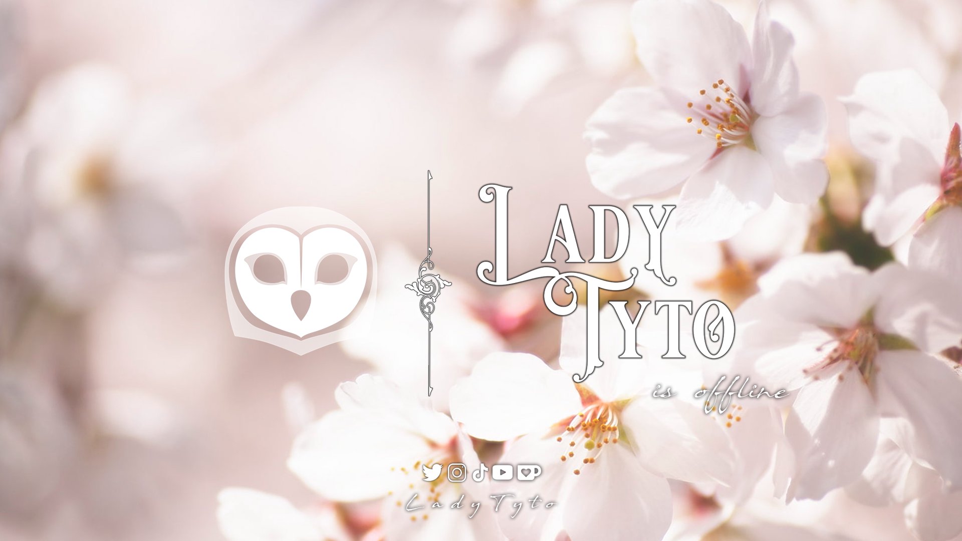 LadyTyto Offline Background