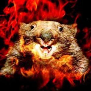 TheFieryWombat