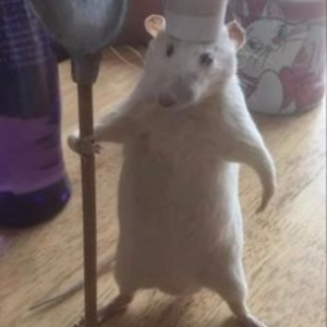 littlebartyuwu