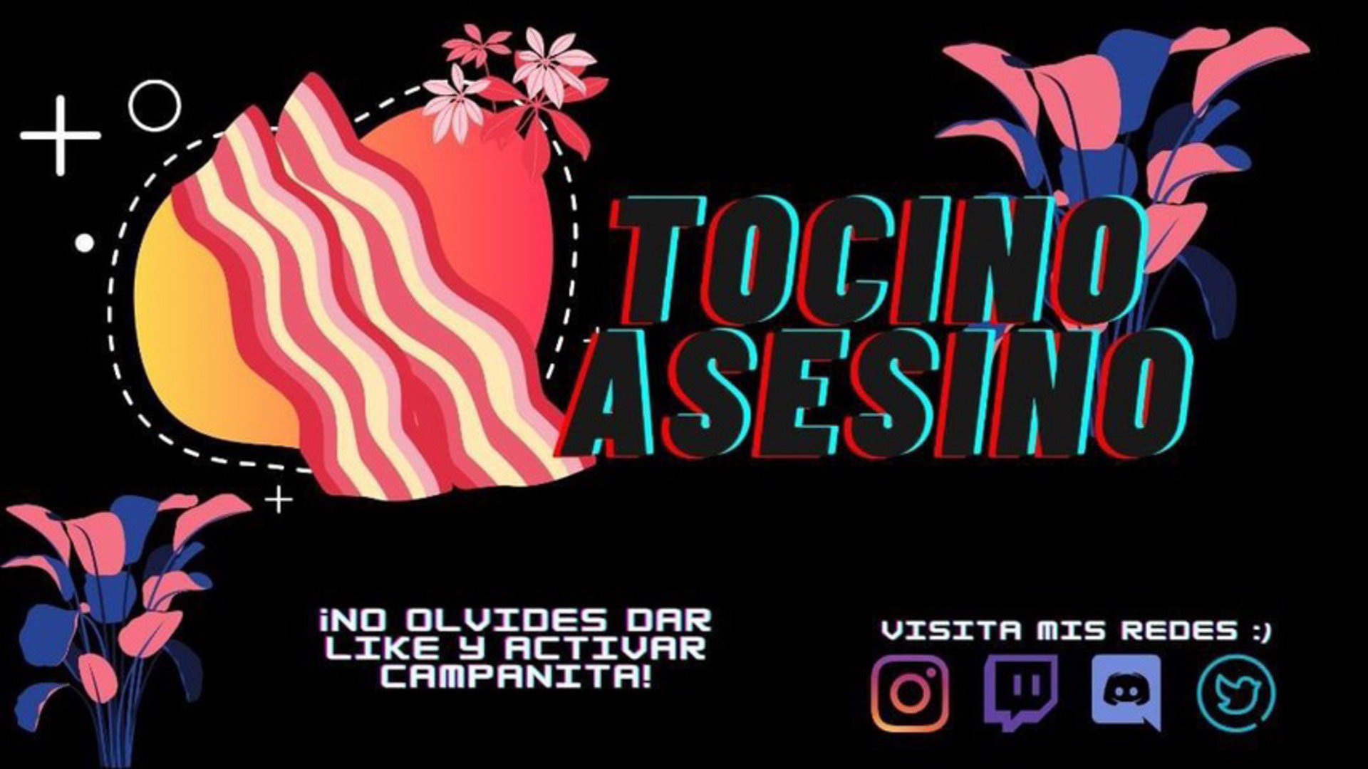 TocinoAsessino Offline Background