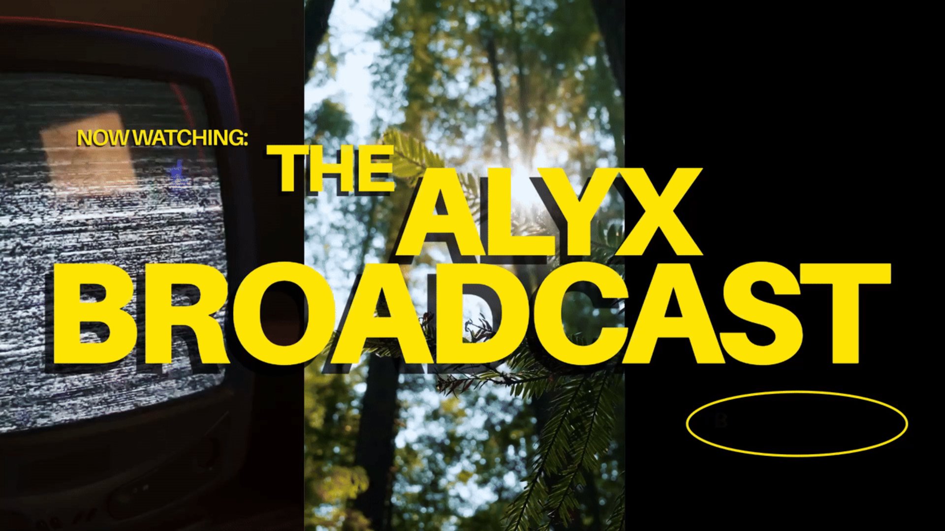 ALYX_owo Offline Background