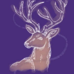 Jax_Doe