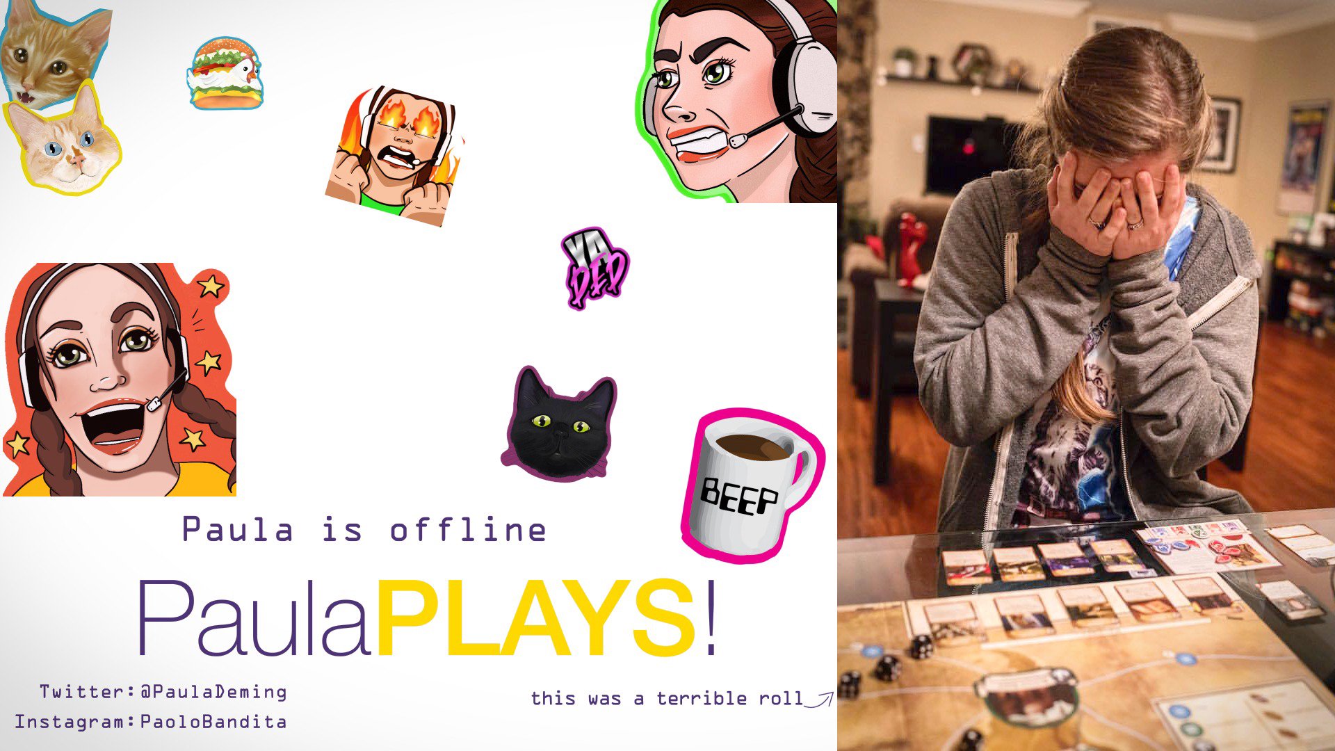 PaulaDeming Offline Background