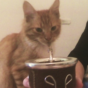 MateAmalgo