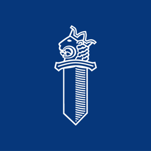 Pelipoliisi