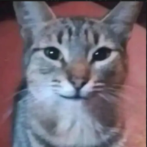 Miguezdude