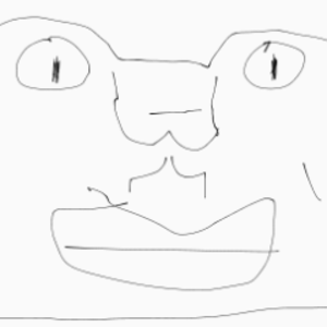 ののトマト