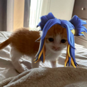 sorceryaim