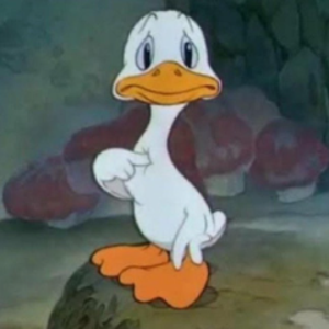 DCK20