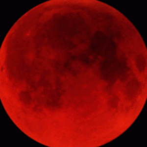 bloodmoonscott