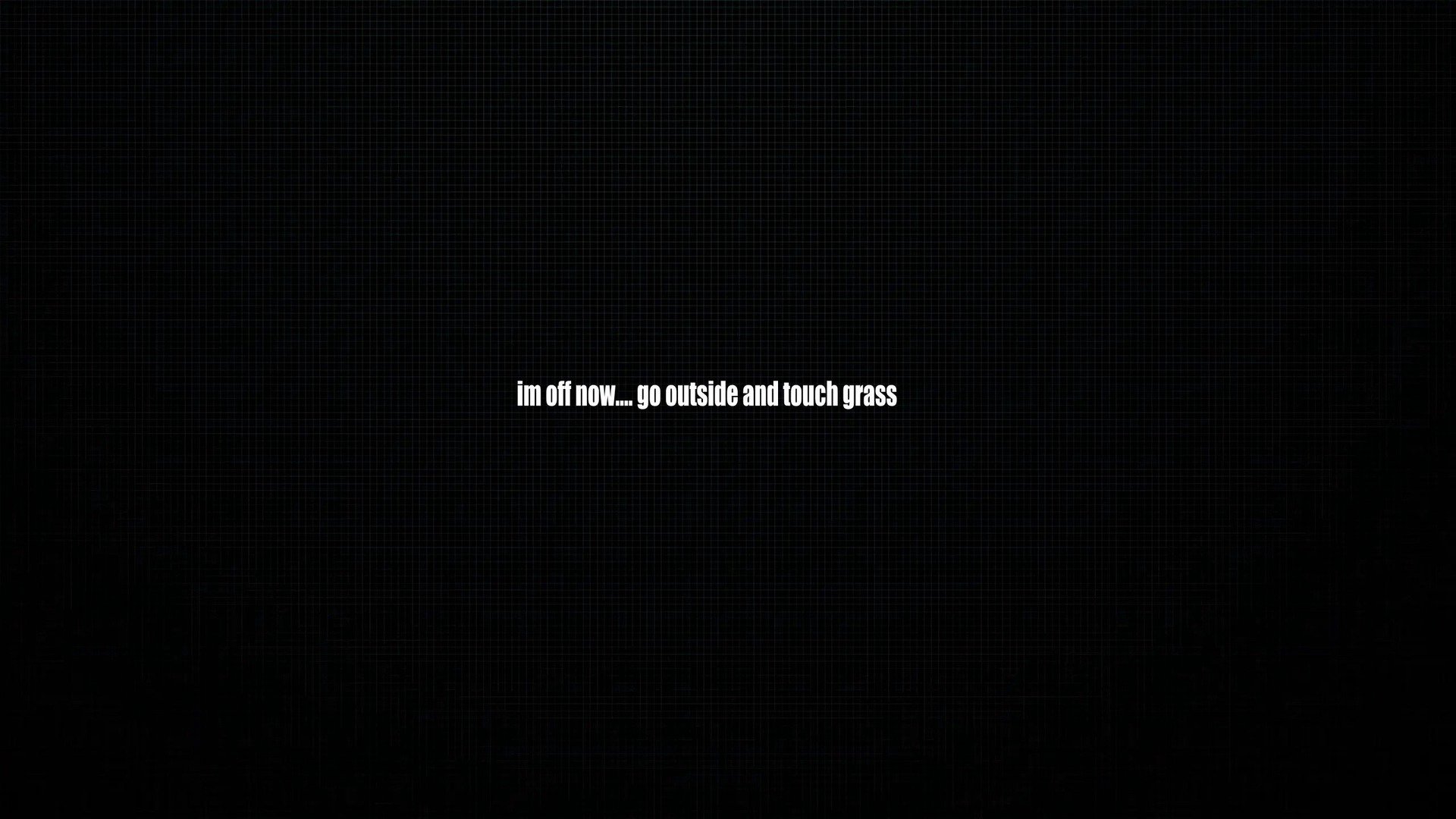 trashua_lion Offline Background