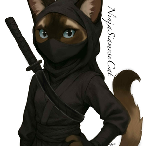 NinjaSiameseCat