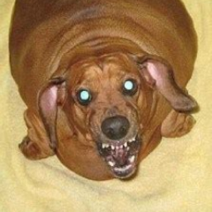 ImplodedNut