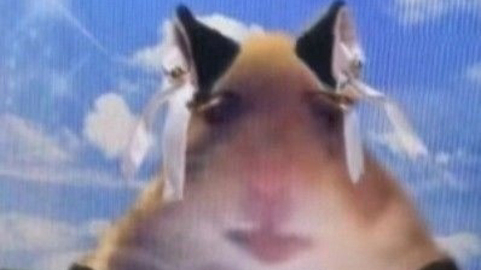 dianabraun Offline Background