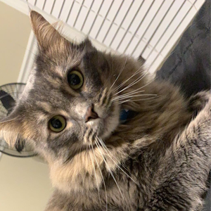 youdontlooksmelly