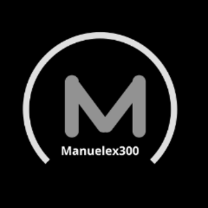 manuelex300