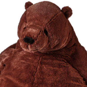 2DTeddy