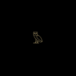drakeboy6