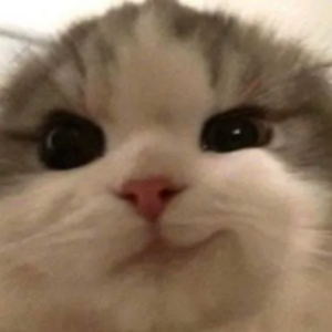 Watch0ut_