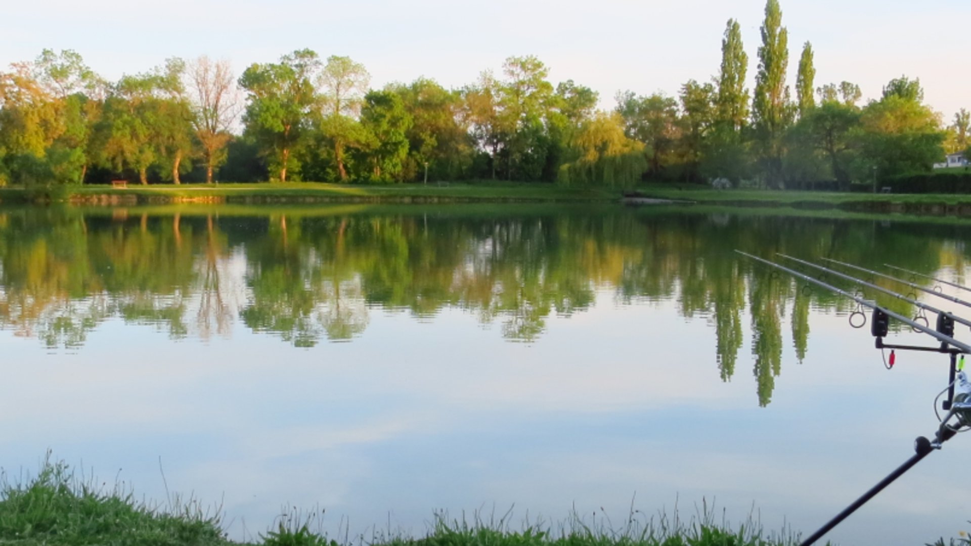 Damien_fishing02 Offline Background
