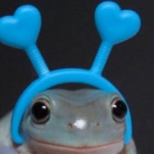 froggy