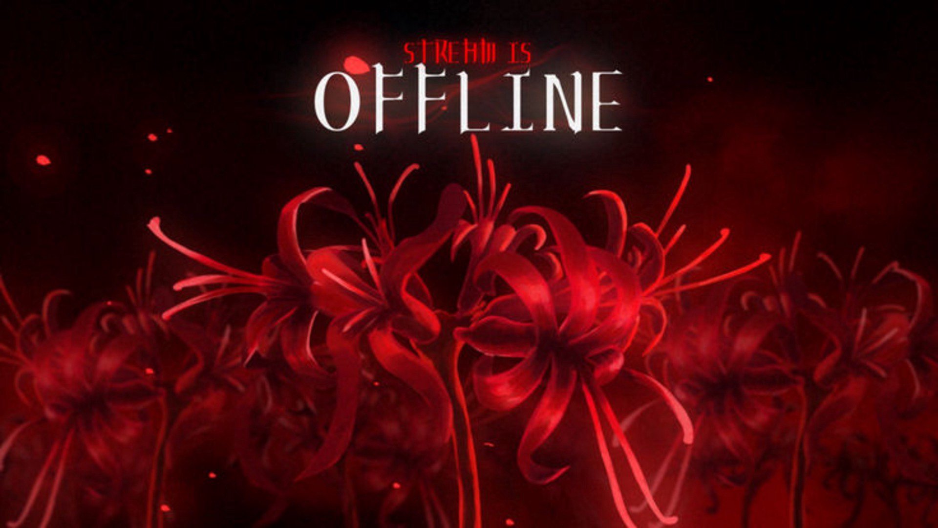 surikawaq Offline Background
