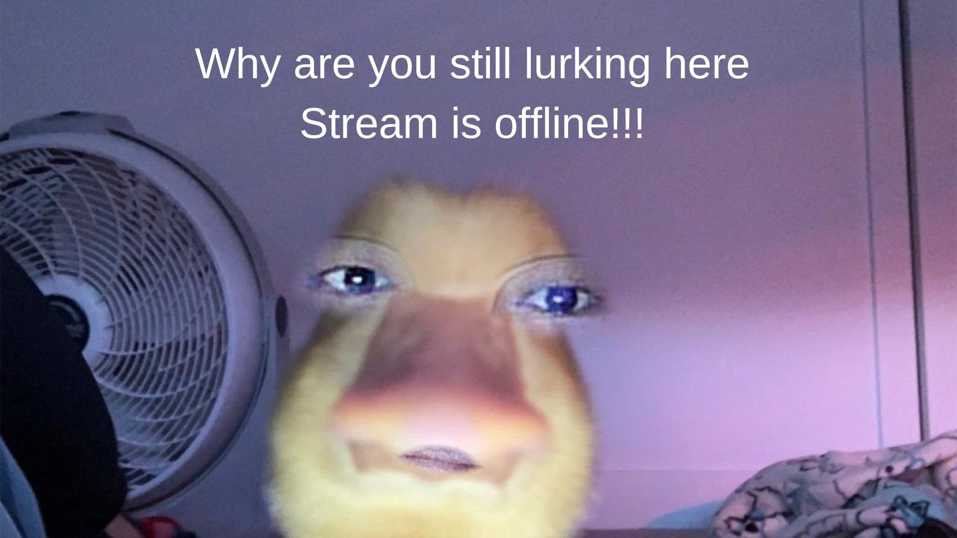SyukiYoshi Offline Background