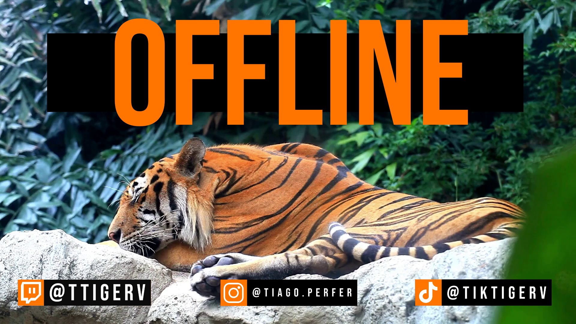 TTigerV Offline Background