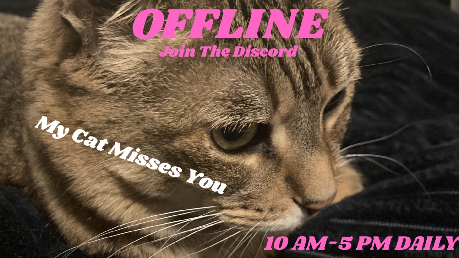 Fenanigans Offline Background