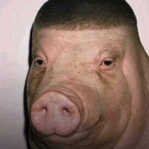 DGDaGeneral