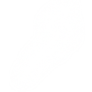 saiko_reformed