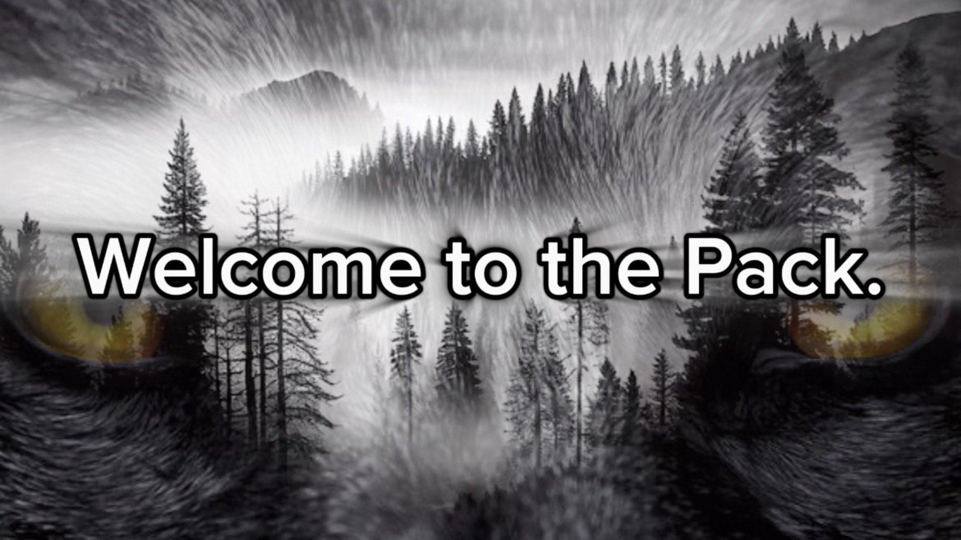 bakpaxs Offline Background