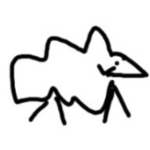 阿啥