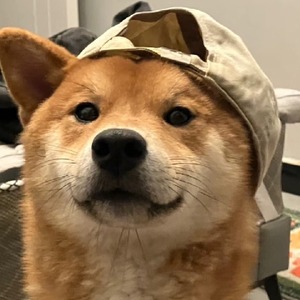 狗子__