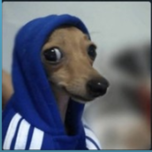feitanq