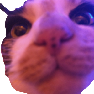 Noothaan