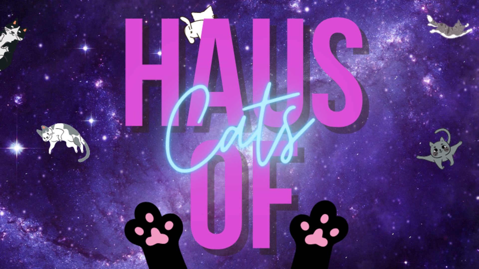 HausOfCatz Offline Background