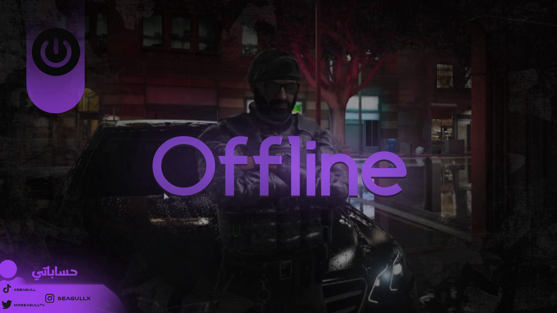 Seagull Offline Background