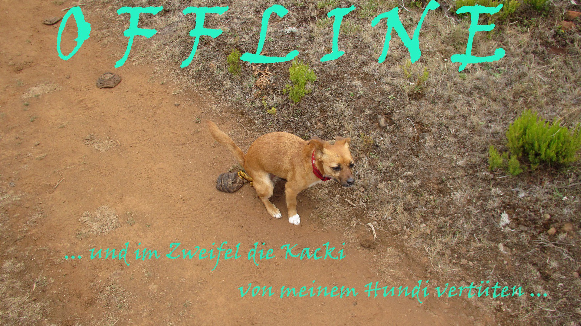 iPruceJee Offline Background