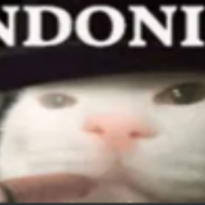 d1ppkka
